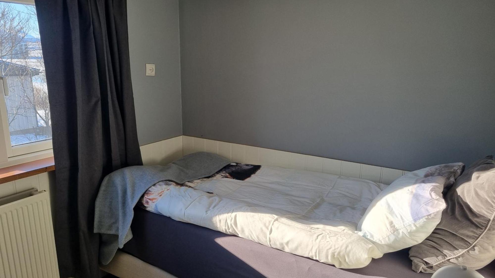 Fornilaekur Guesthouse Блёндюоус Экстерьер фото